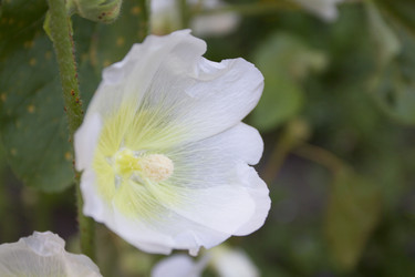 Similar image 6460826