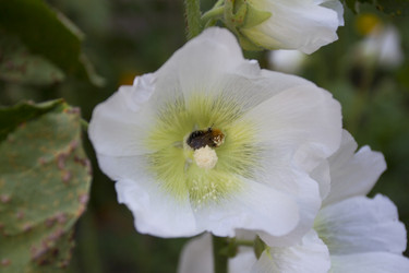 Similar image 6460827