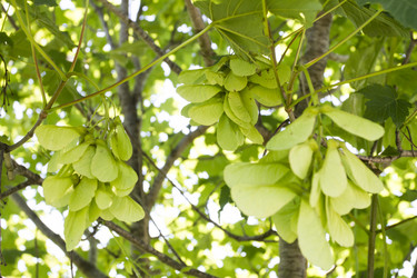 Similar image 6460842