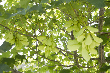 Similar image 6460843