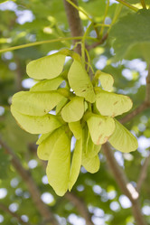 Similar image 6460844