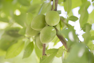 Similar image 6460853