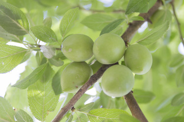 Similar image 6460854