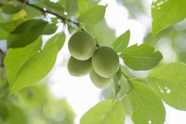 Similar image 6460855