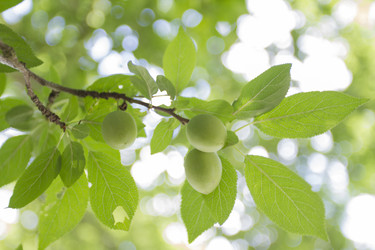 Similar image 6460856