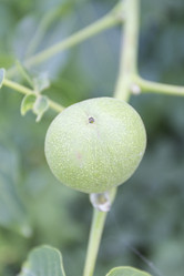 Similar image 6460857