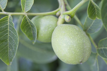 Similar image 6460858