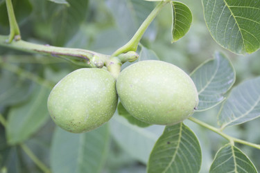 Similar image 6460859