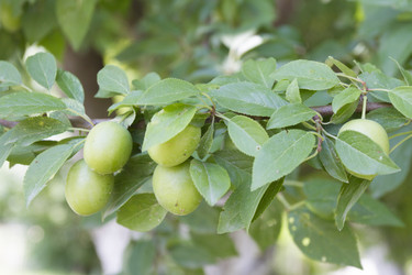 Similar image 6460862