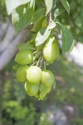 Similar image 6460863