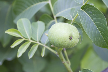 Similar image 6460870