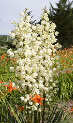 Similar image 6460875