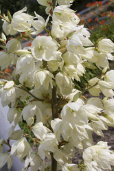 Similar image 6460878