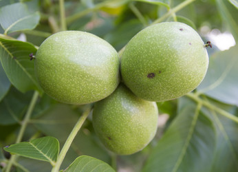 Similar image 6460882