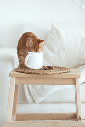 Similar image 6461071