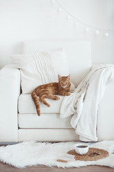 Similar image 6461100