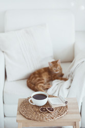 Similar image 6461101