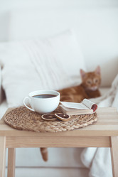 Similar image 6461102