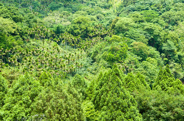 Similar image 6461164