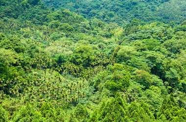 Similar image 6461165