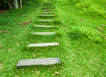 Similar image 6461289