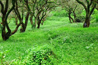 Similar image 6461298