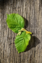 Similar image 6461339