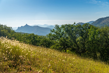 Similar image 6461344