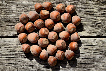 Similar image 6461345