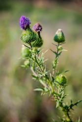 Similar image 6461346