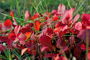 Similar image 6461348