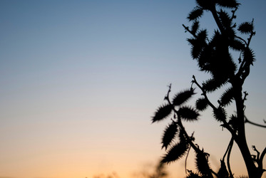 Similar image 6461349