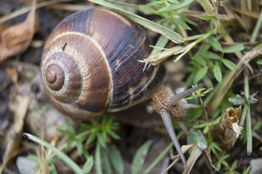 Similar image 6461371