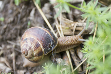 Similar image 6461372