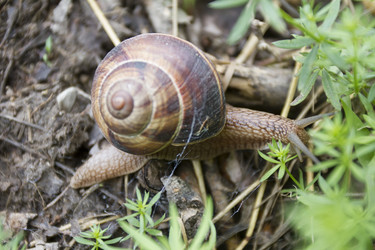 Similar image 6461373