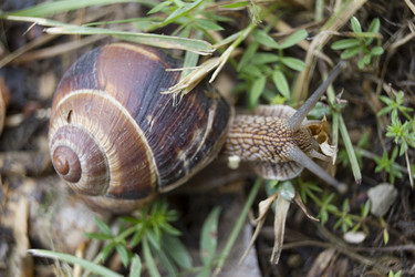 Similar image 6461382