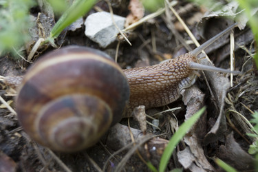 Similar image 6461383