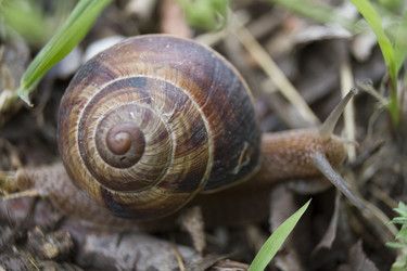 Similar image 6461384