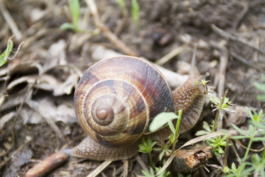 Similar image 6461389