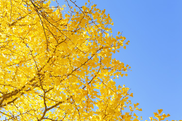 Similar image 6461423