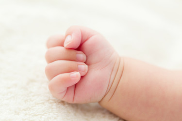 Similar image 6461479