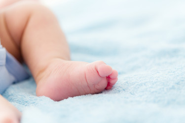 Similar image 6461506