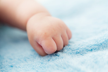 Similar image 6461510