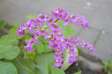 Similar image 6461604