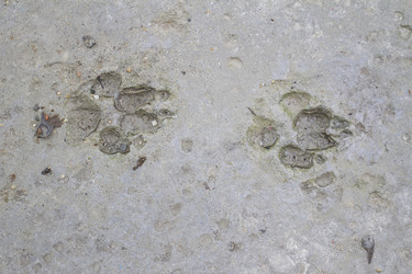 Similar image 6461623