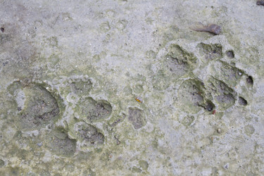 Similar image 6461624