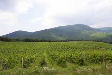 Similar image 6461625