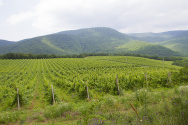 Similar image 6461626