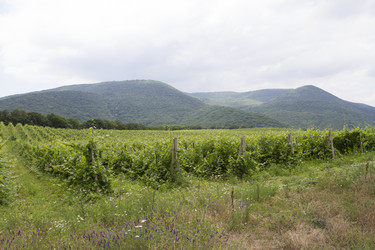 Similar image 6461627