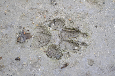 Similar image 6461629